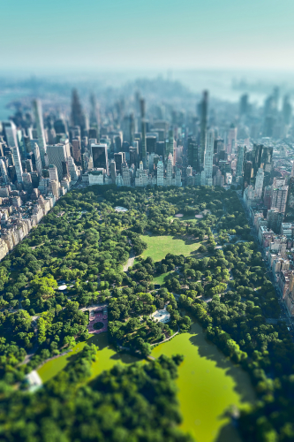 Big Apple Hawk lowres